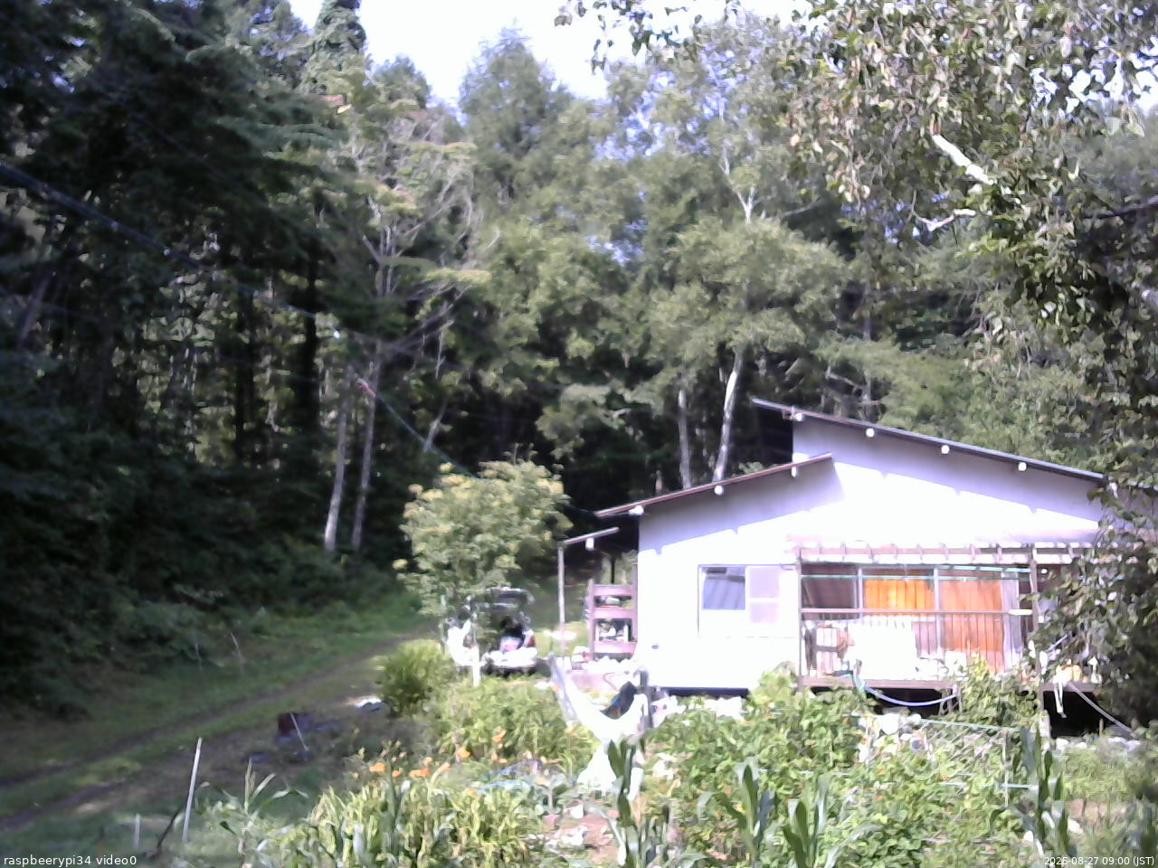 長野県菅平高原 ゆたか山荘 西側(坂上) 2025/08/27 09:00
