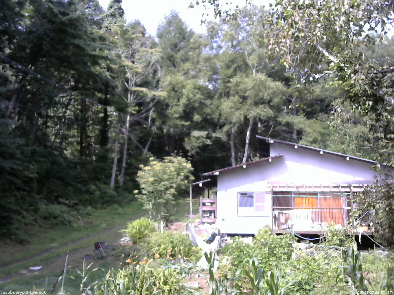 長野県菅平高原 ゆたか山荘 西側(坂上) 2025/08/27 09:30
