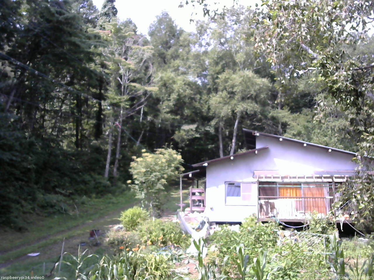 長野県菅平高原 ゆたか山荘 西側(坂上) 2025/08/27 10:00