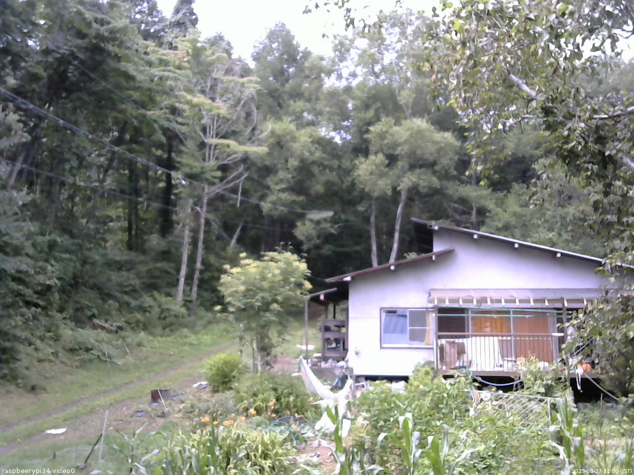 長野県菅平高原 ゆたか山荘 西側(坂上) 2025/08/27 11:00