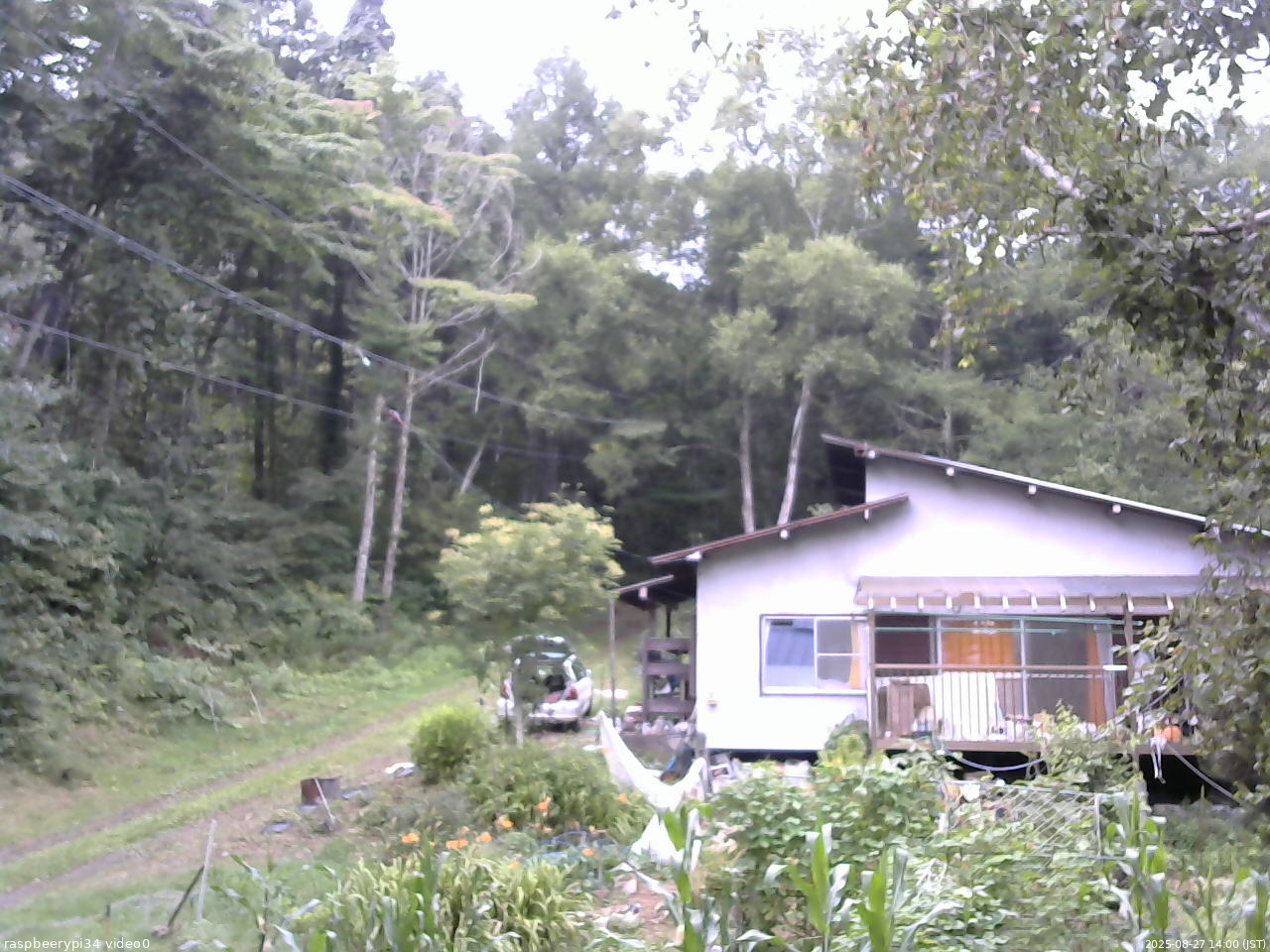 長野県菅平高原 ゆたか山荘 西側(坂上) 2025/08/27 14:00