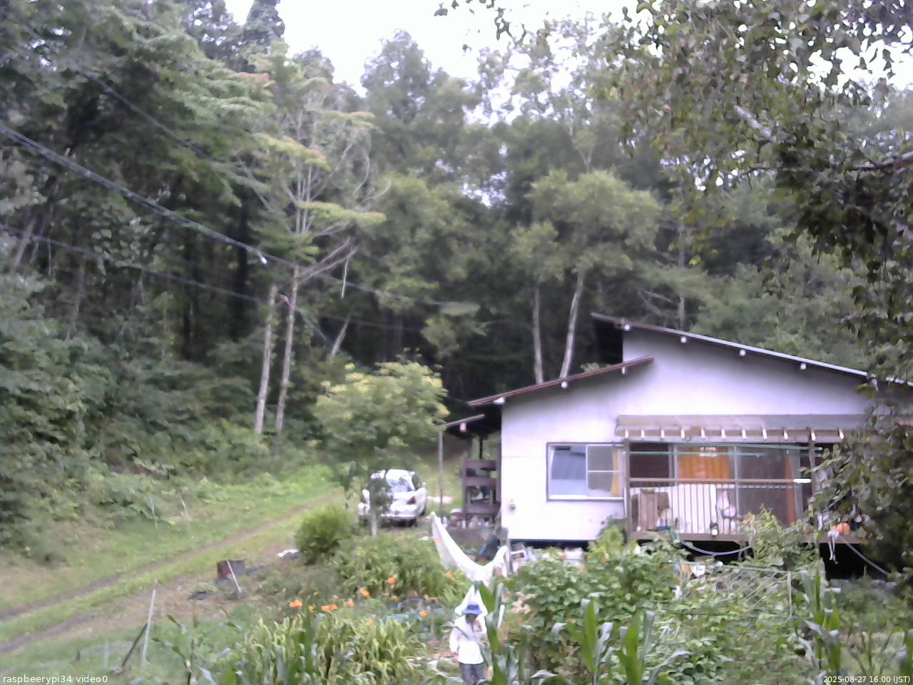 長野県菅平高原 ゆたか山荘 西側(坂上) 2025/08/27 16:00