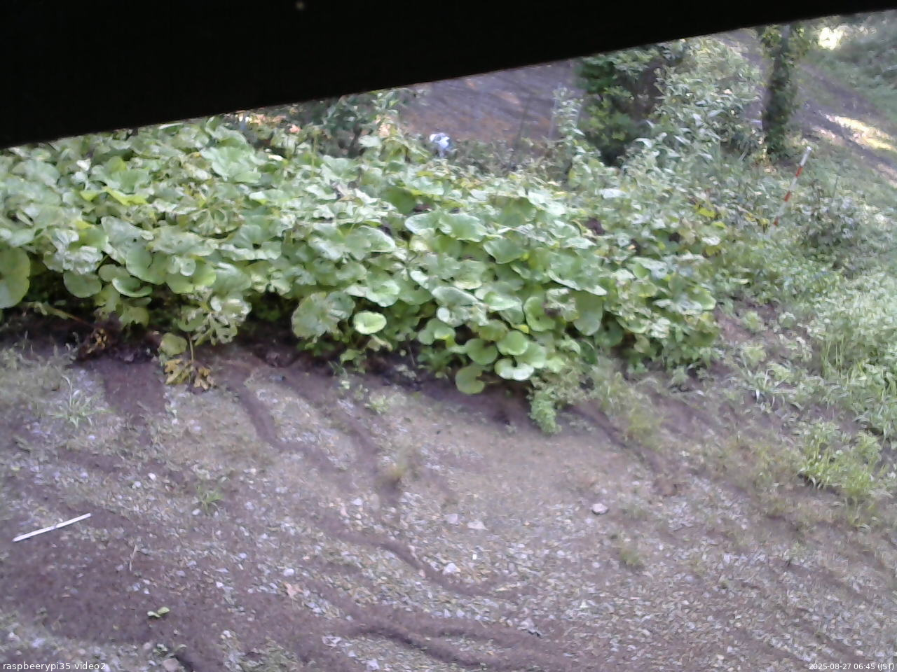長野県菅平高原 ゆたか山荘 駐車場 2025/08/27 06:45
