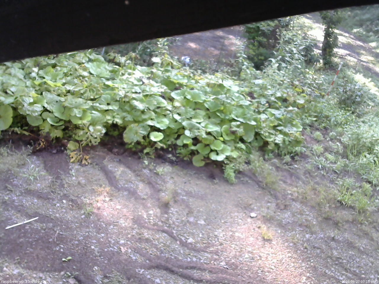 長野県菅平高原 ゆたか山荘 駐車場 2025/08/27 07:15