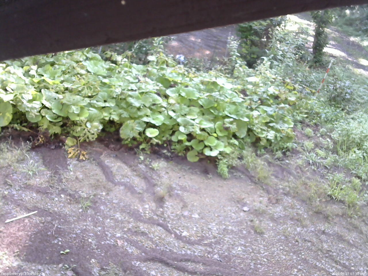 長野県菅平高原 ゆたか山荘 駐車場 2025/08/27 07:30