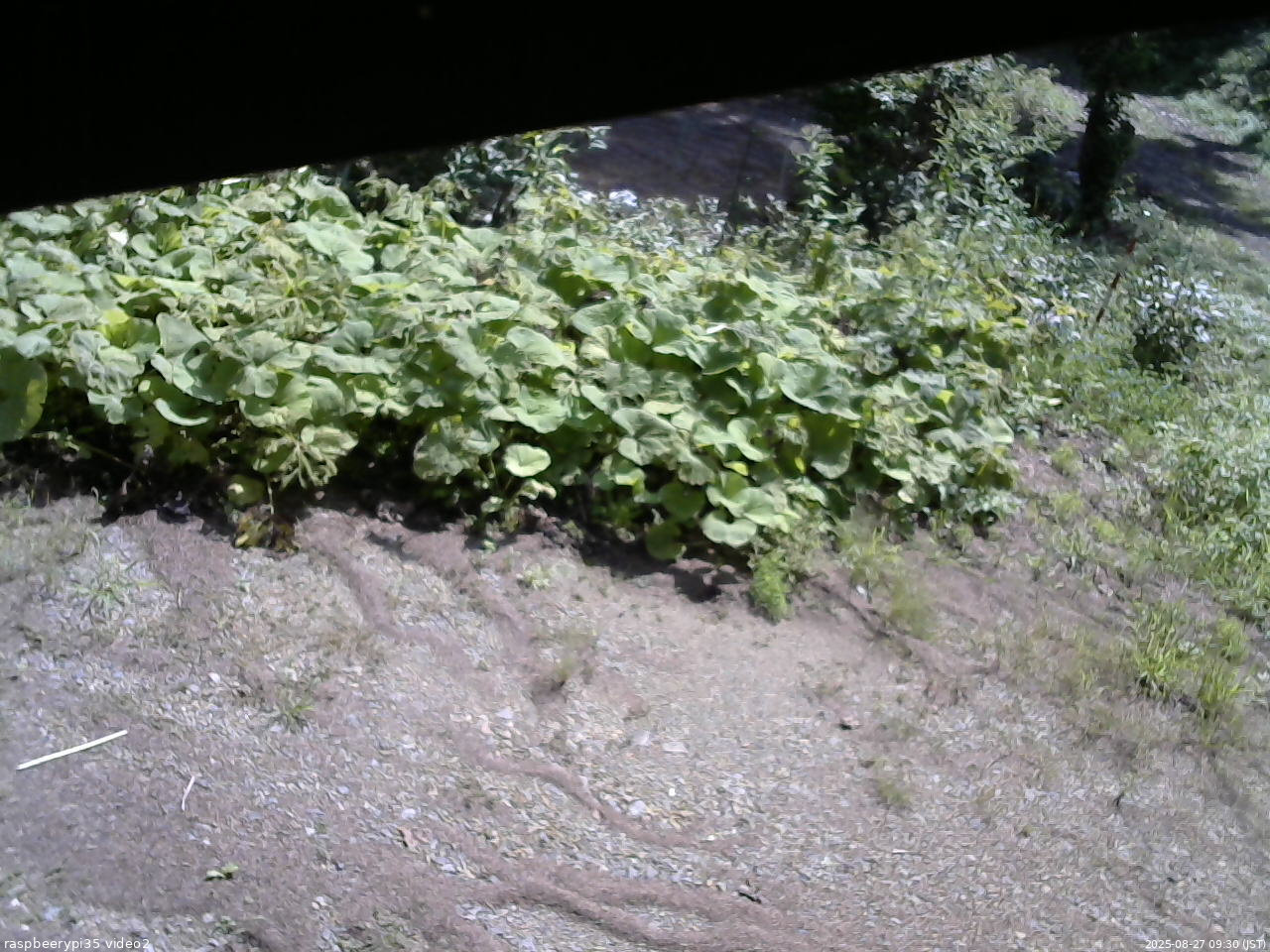 長野県菅平高原 ゆたか山荘 駐車場 2025/08/27 09:30