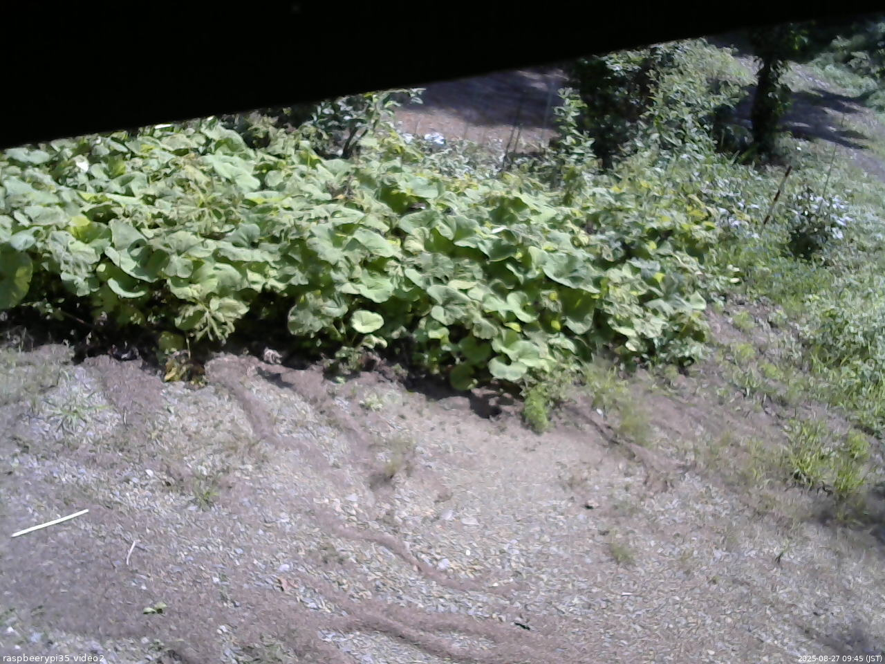 長野県菅平高原 ゆたか山荘 駐車場 2025/08/27 09:45