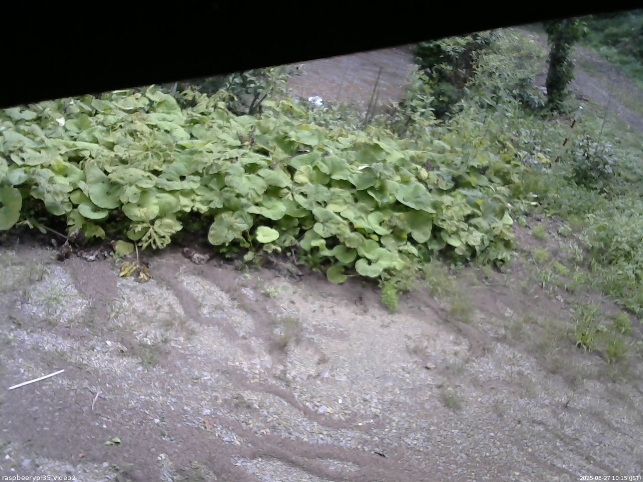 長野県菅平高原 ゆたか山荘 駐車場 2025/08/27 10:15