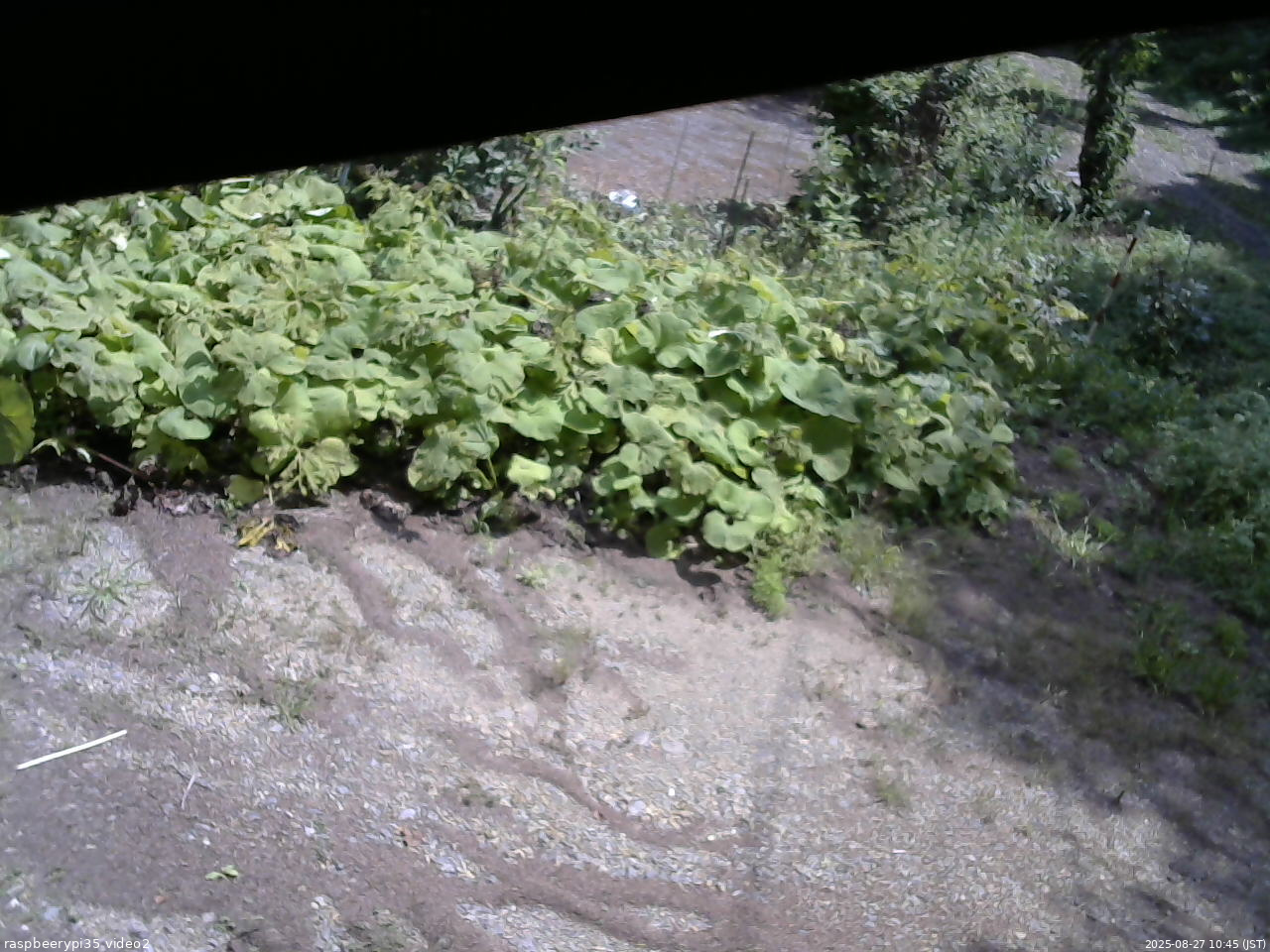 長野県菅平高原 ゆたか山荘 駐車場 2025/08/27 10:45