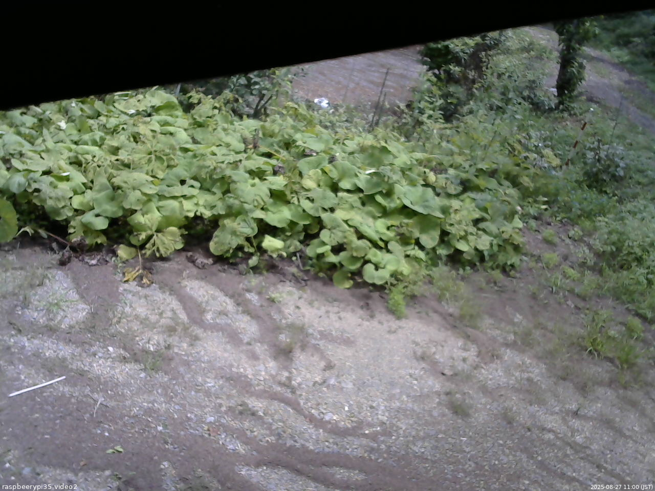 長野県菅平高原 ゆたか山荘 駐車場 2025/08/27 11:00