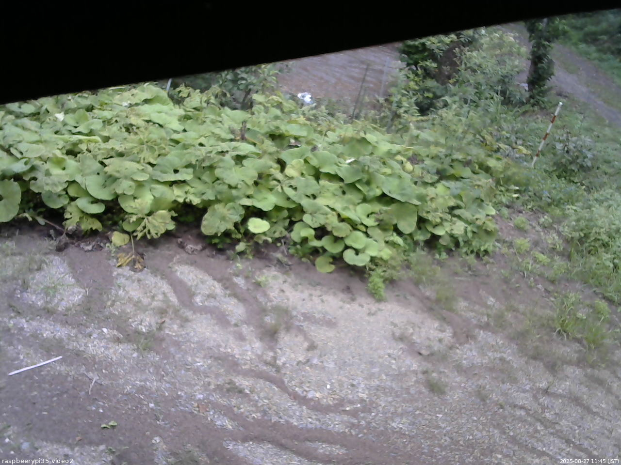 長野県菅平高原 ゆたか山荘 駐車場 2025/08/27 11:45