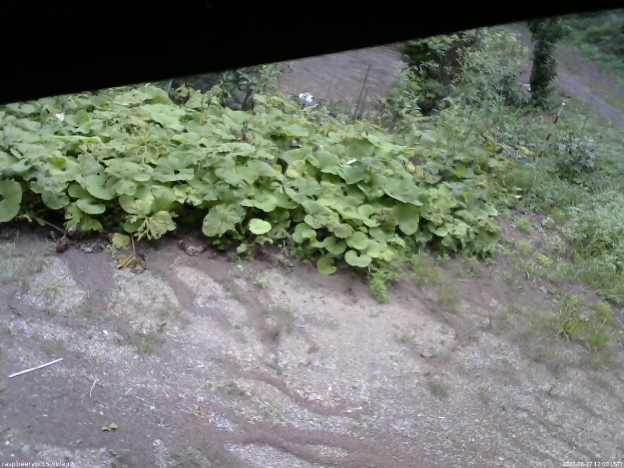 長野県菅平高原 ゆたか山荘 駐車場 2025/08/27 12:00