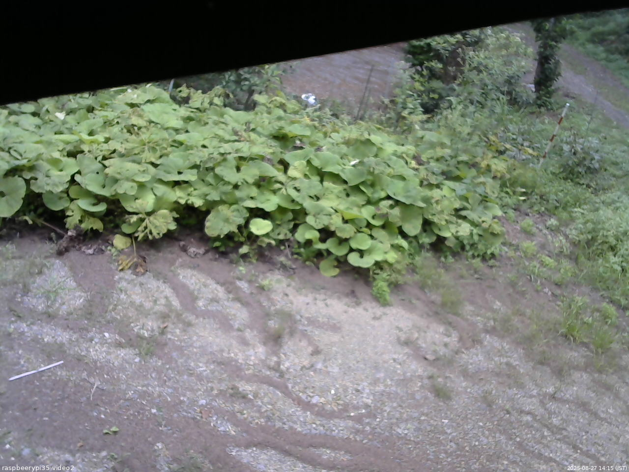 長野県菅平高原 ゆたか山荘 駐車場 2025/08/27 14:15