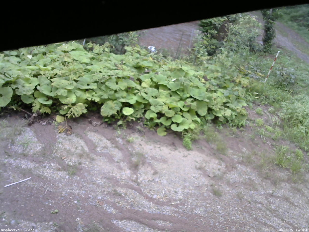 長野県菅平高原 ゆたか山荘 駐車場 2025/08/27 14:45