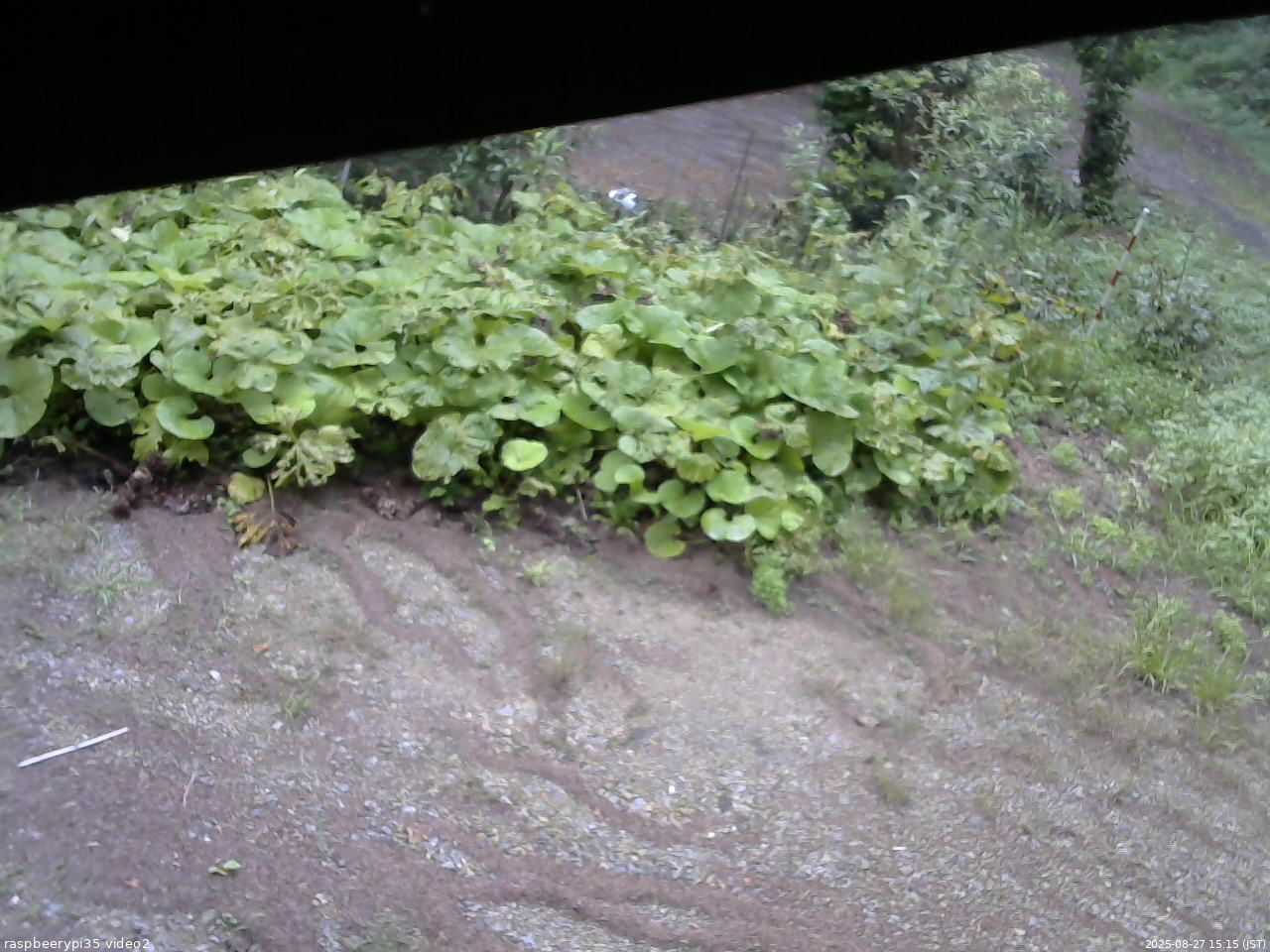 長野県菅平高原 ゆたか山荘 駐車場 2025/08/27 15:15