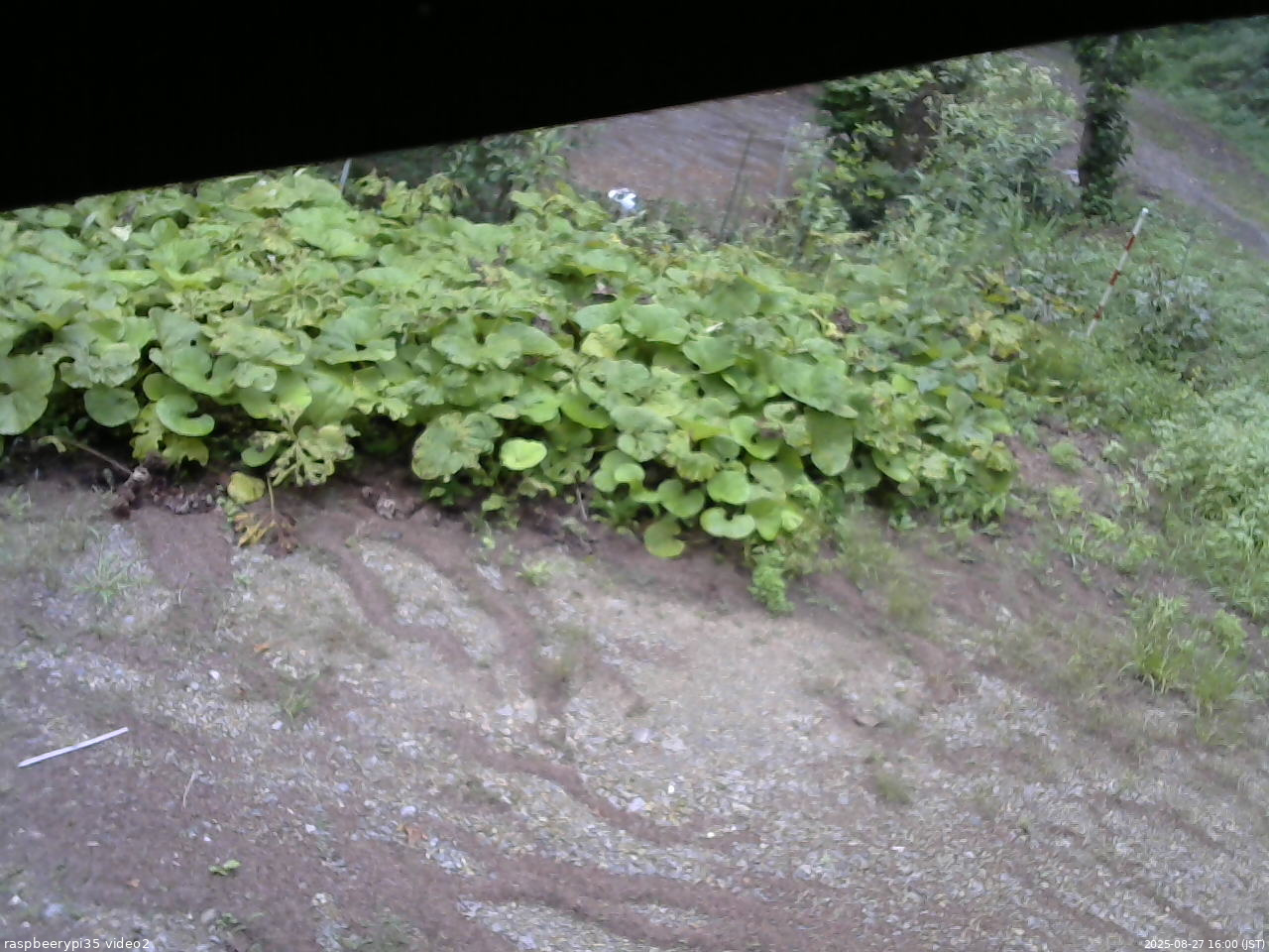 長野県菅平高原 ゆたか山荘 駐車場 2025/08/27 16:00