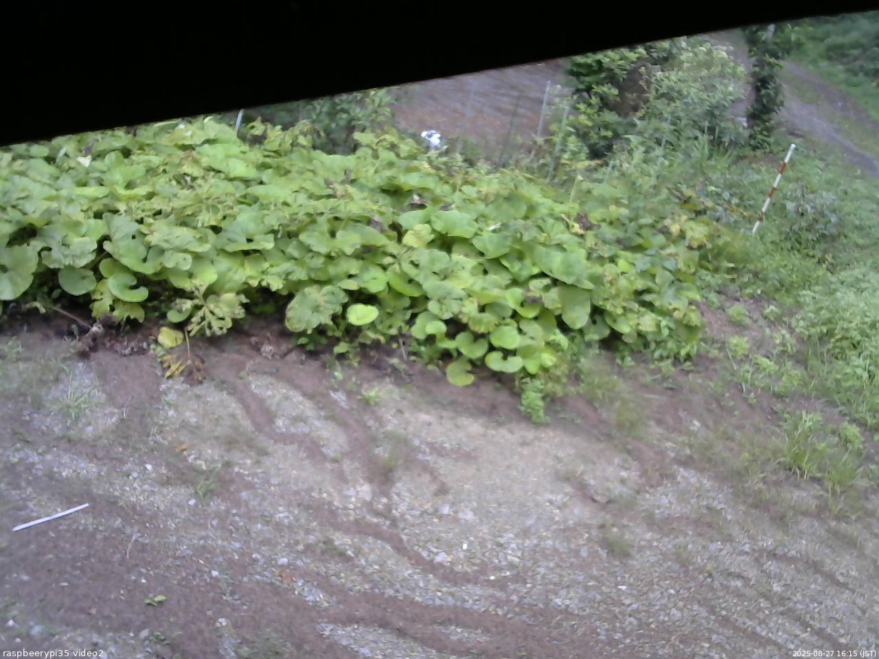 長野県菅平高原 ゆたか山荘 駐車場 2025/08/27 16:15