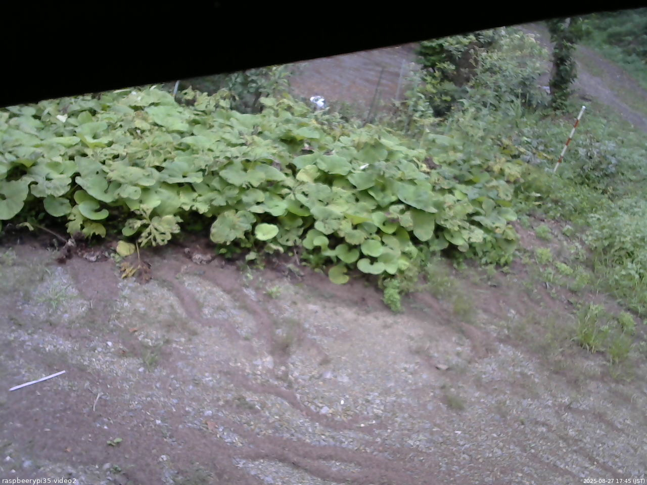 長野県菅平高原 ゆたか山荘 駐車場 2025/08/27 17:45