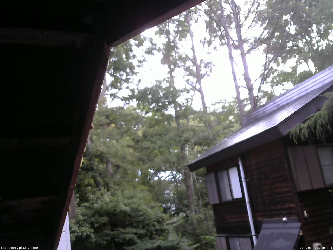 長野県菅平高原 ゆたか山荘 北側 2025/08/28 07:30