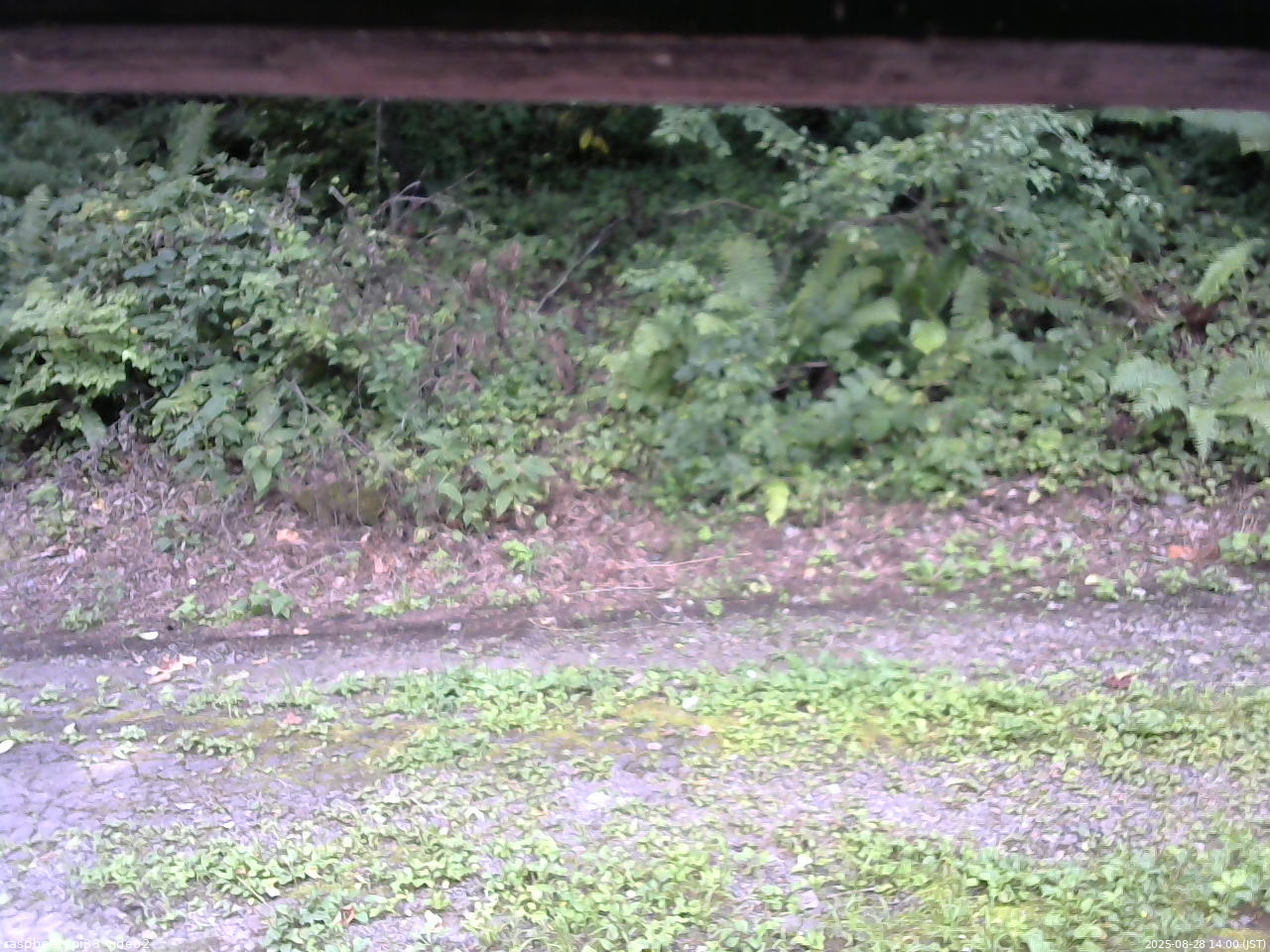 長野県菅平高原 ゆたか山荘 南側 2025/08/28 14:00