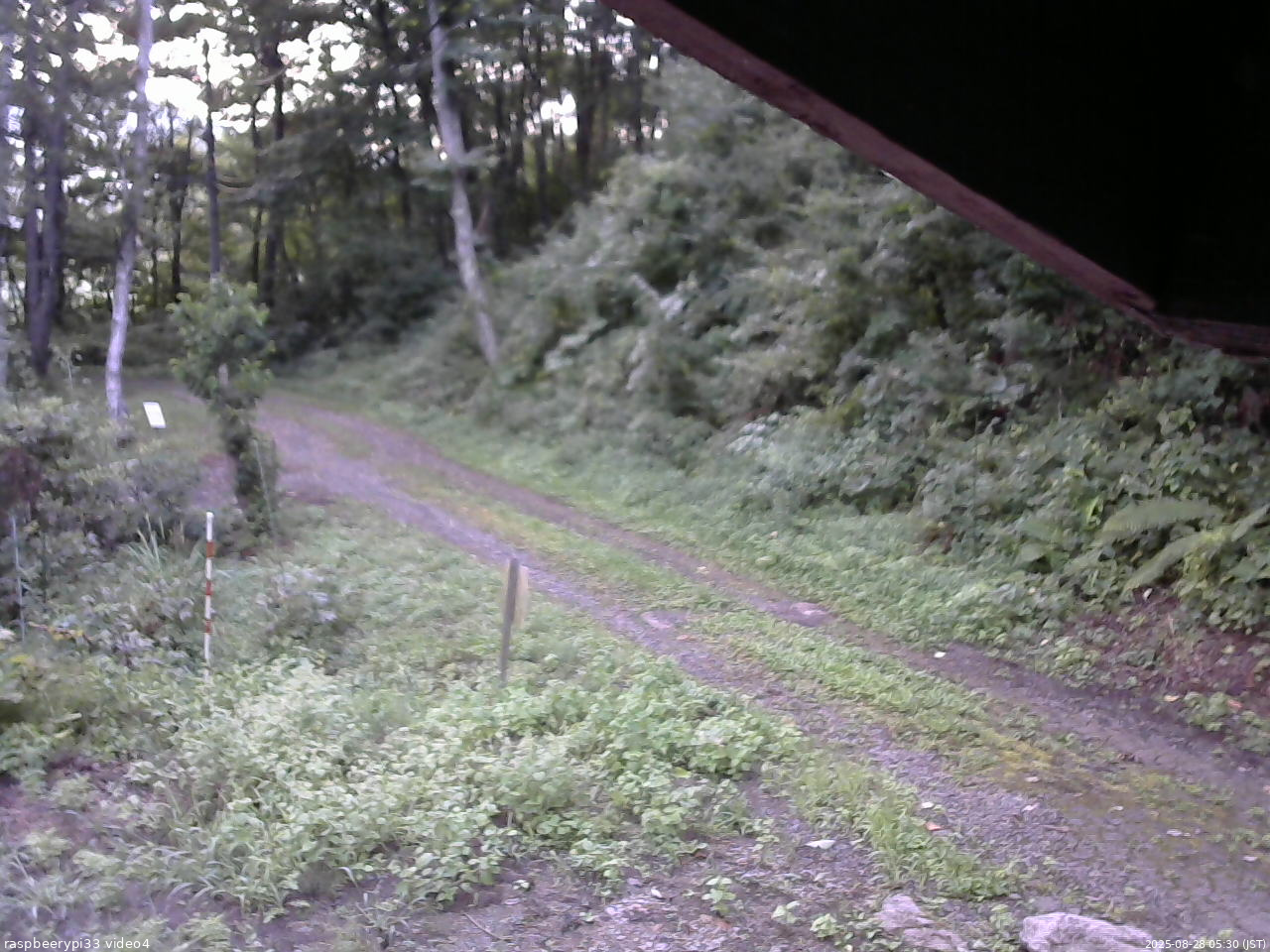 長野県菅平高原 ゆたか山荘 東側(坂下) 2025/08/28 05:30