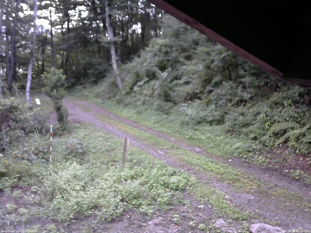 長野県菅平高原 ゆたか山荘 東側(坂下) 2025/08/28 05:45