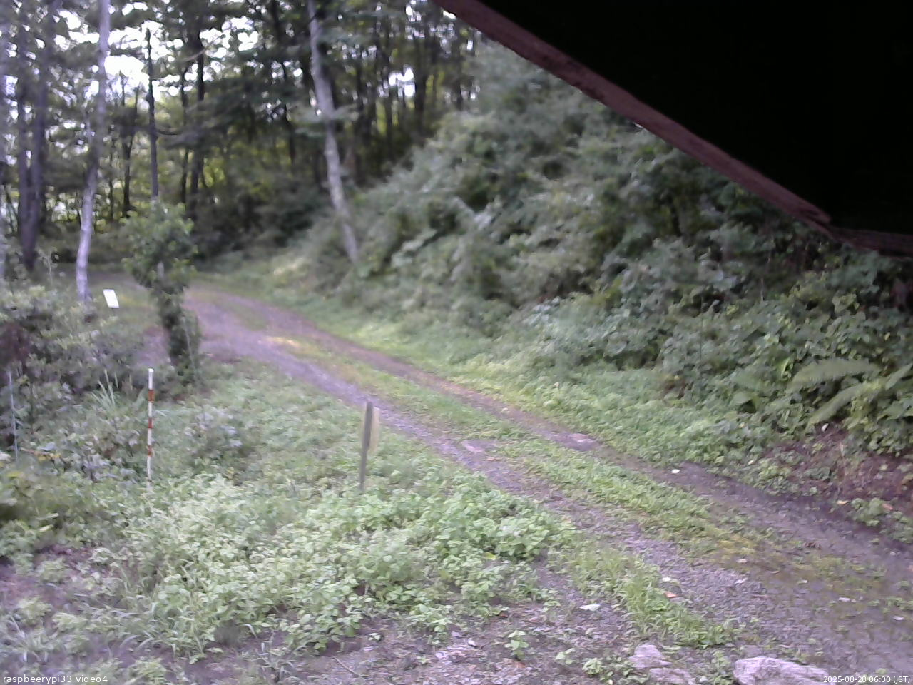 長野県菅平高原 ゆたか山荘 東側(坂下) 2025/08/28 06:00