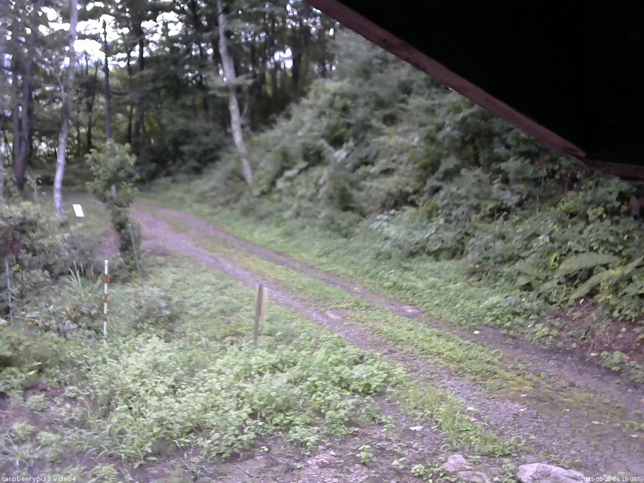 長野県菅平高原 ゆたか山荘 東側(坂下) 2025/08/28 06:15