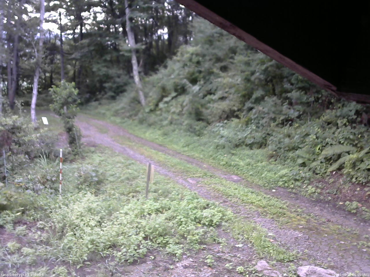 長野県菅平高原 ゆたか山荘 東側(坂下) 2025/08/28 06:45