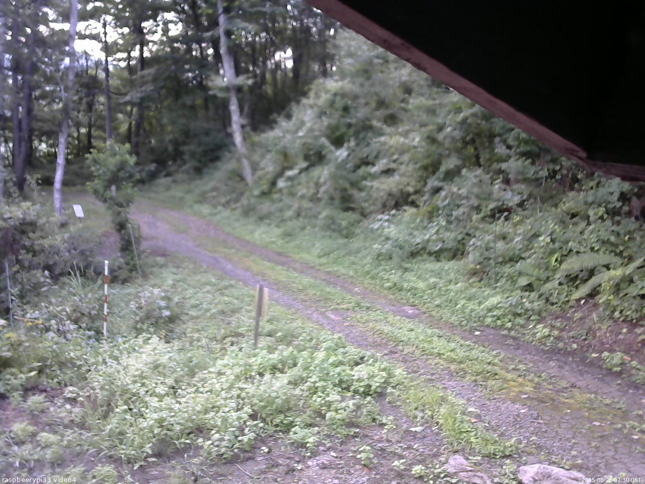 長野県菅平高原 ゆたか山荘 東側(坂下) 2025/08/28 07:30