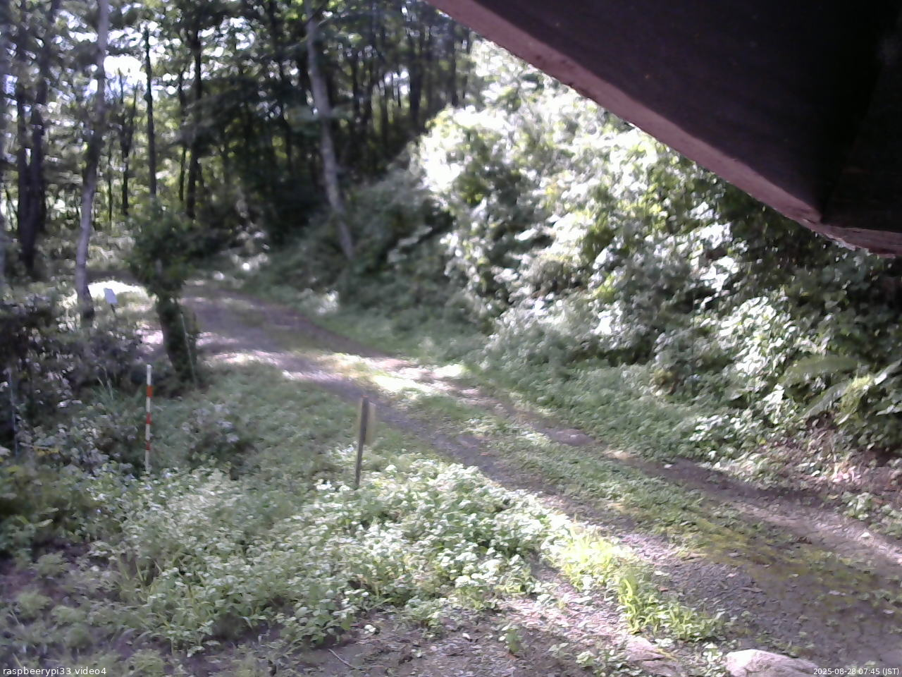 長野県菅平高原 ゆたか山荘 東側(坂下) 2025/08/28 07:45