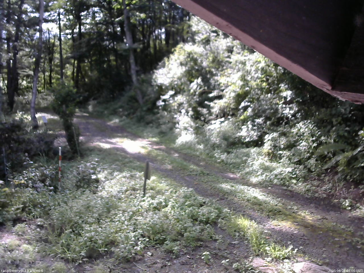 長野県菅平高原 ゆたか山荘 東側(坂下) 2025/08/28 08:00