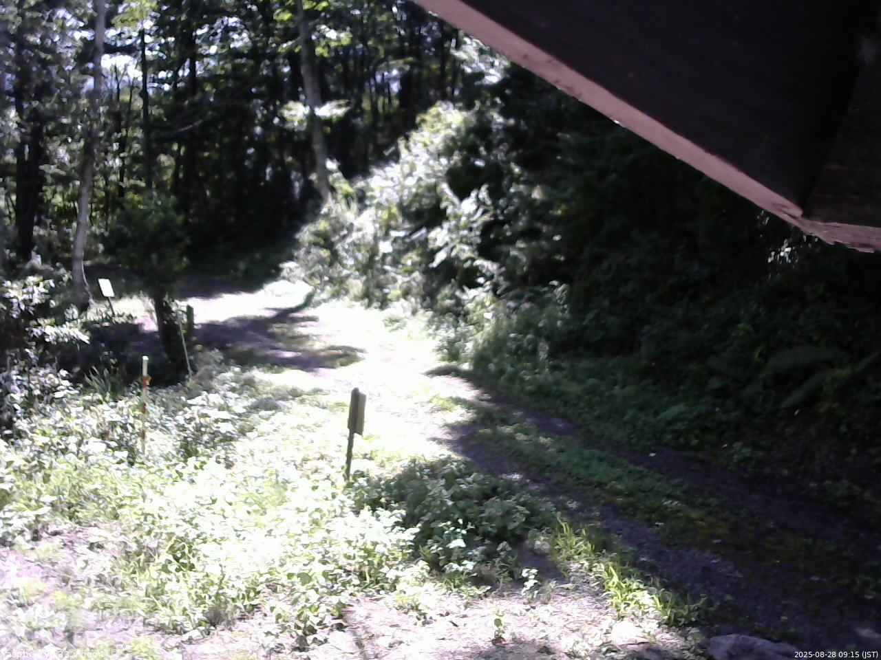 長野県菅平高原 ゆたか山荘 東側(坂下) 2025/08/28 09:15
