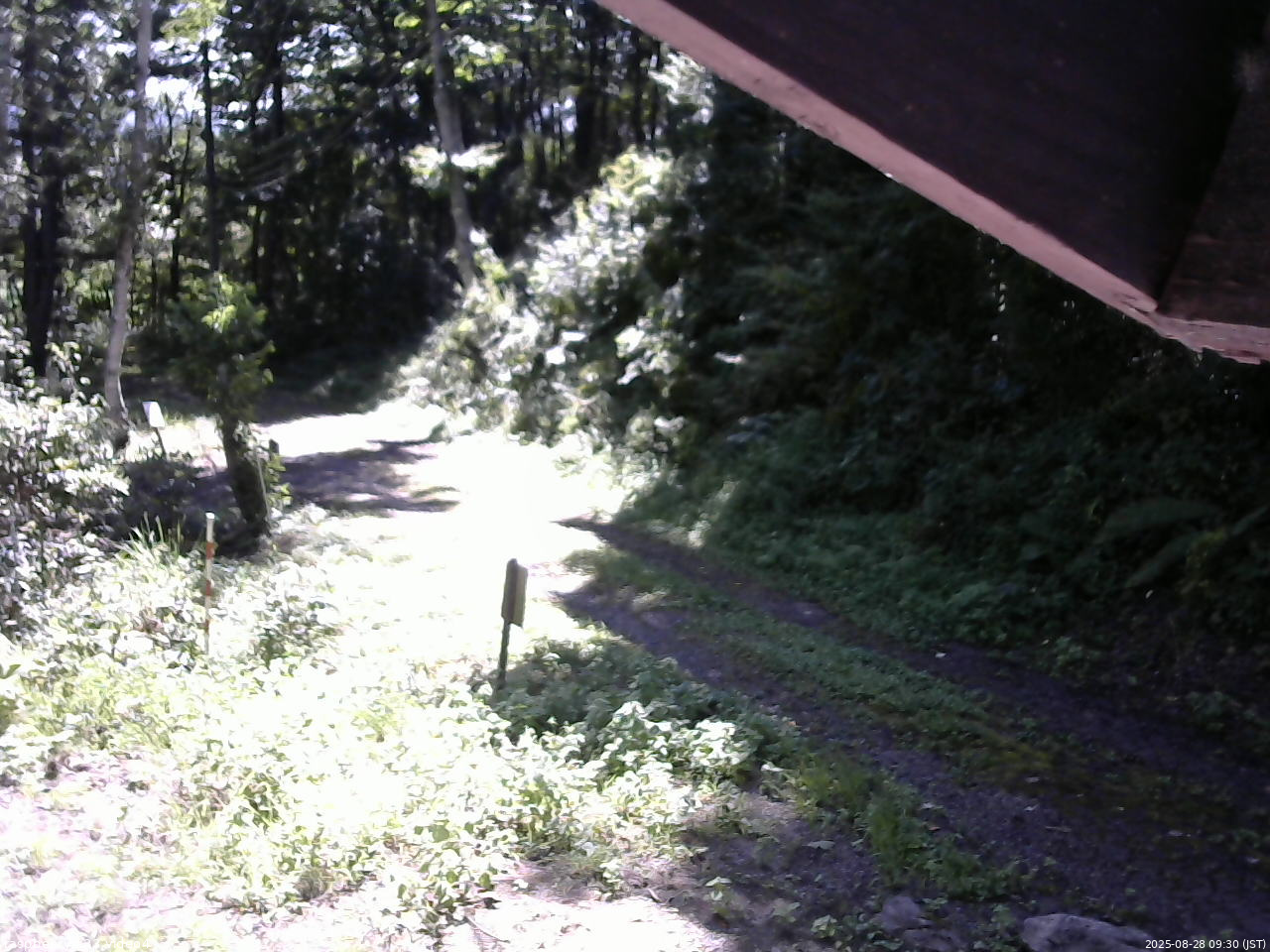 長野県菅平高原 ゆたか山荘 東側(坂下) 2025/08/28 09:30