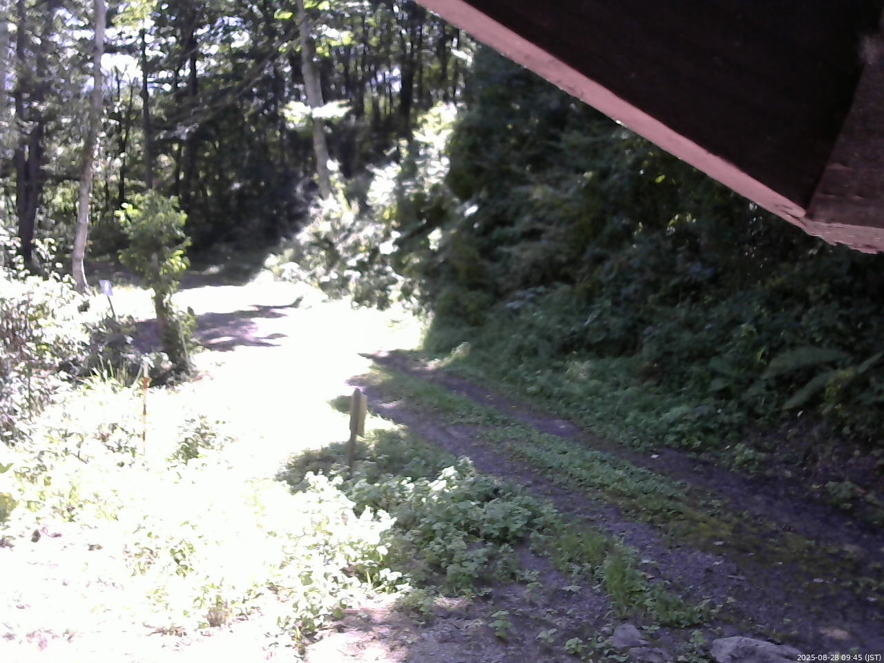 長野県菅平高原 ゆたか山荘 東側(坂下) 2025/08/28 09:45
