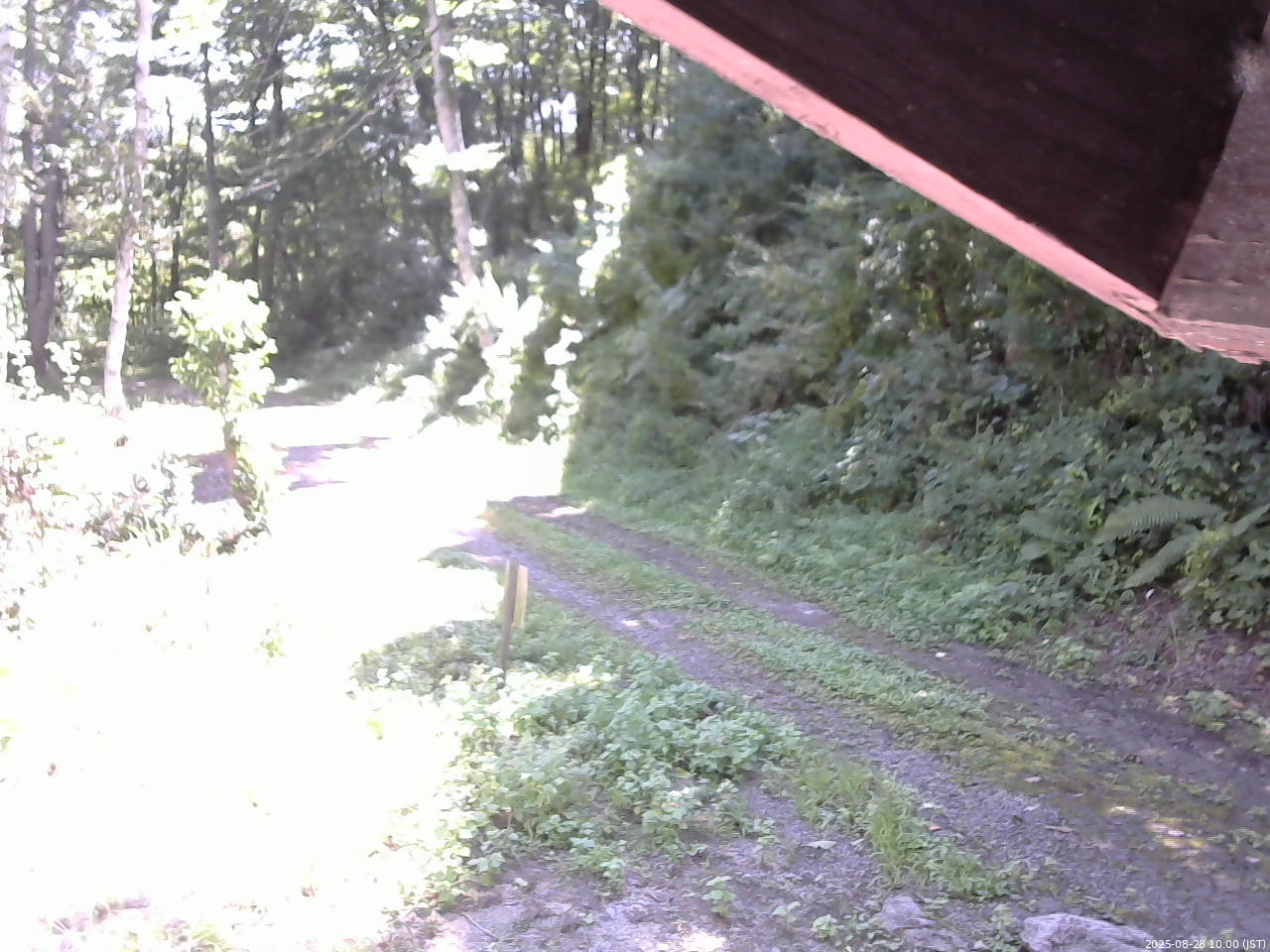 長野県菅平高原 ゆたか山荘 東側(坂下) 2025/08/28 10:00
