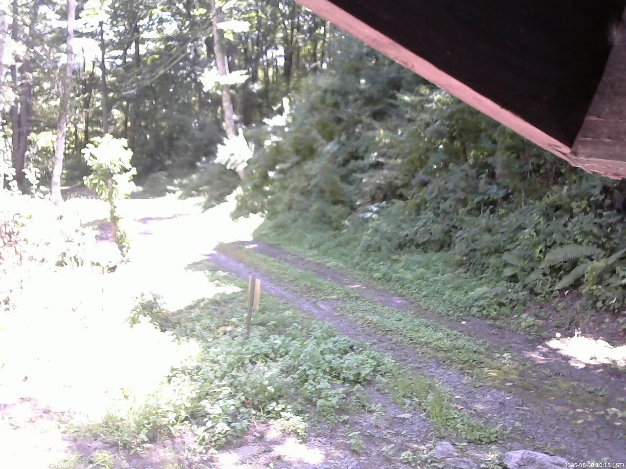 長野県菅平高原 ゆたか山荘 東側(坂下) 2025/08/28 10:15