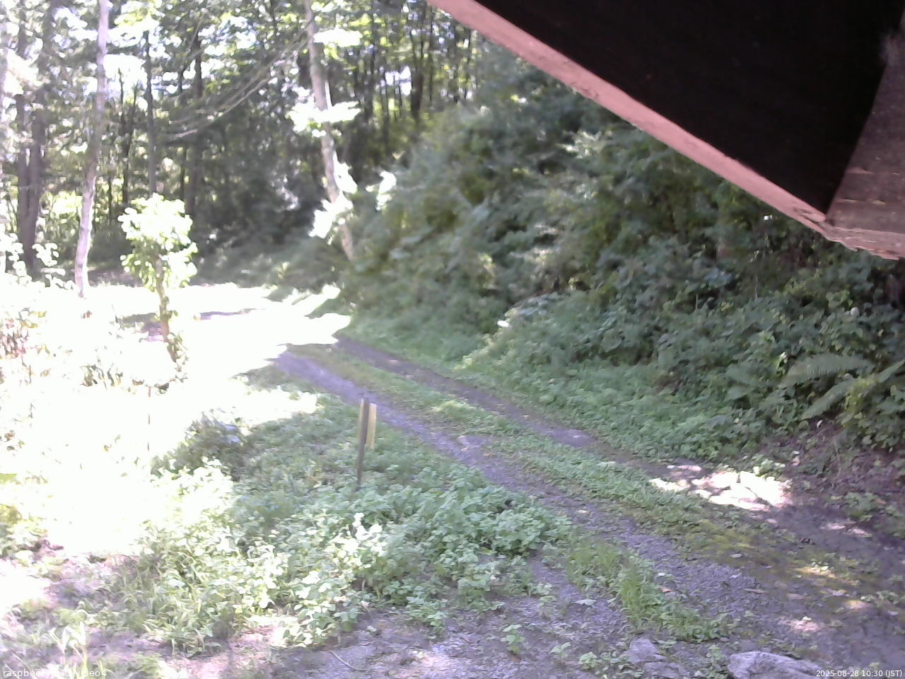 長野県菅平高原 ゆたか山荘 東側(坂下) 2025/08/28 10:30
