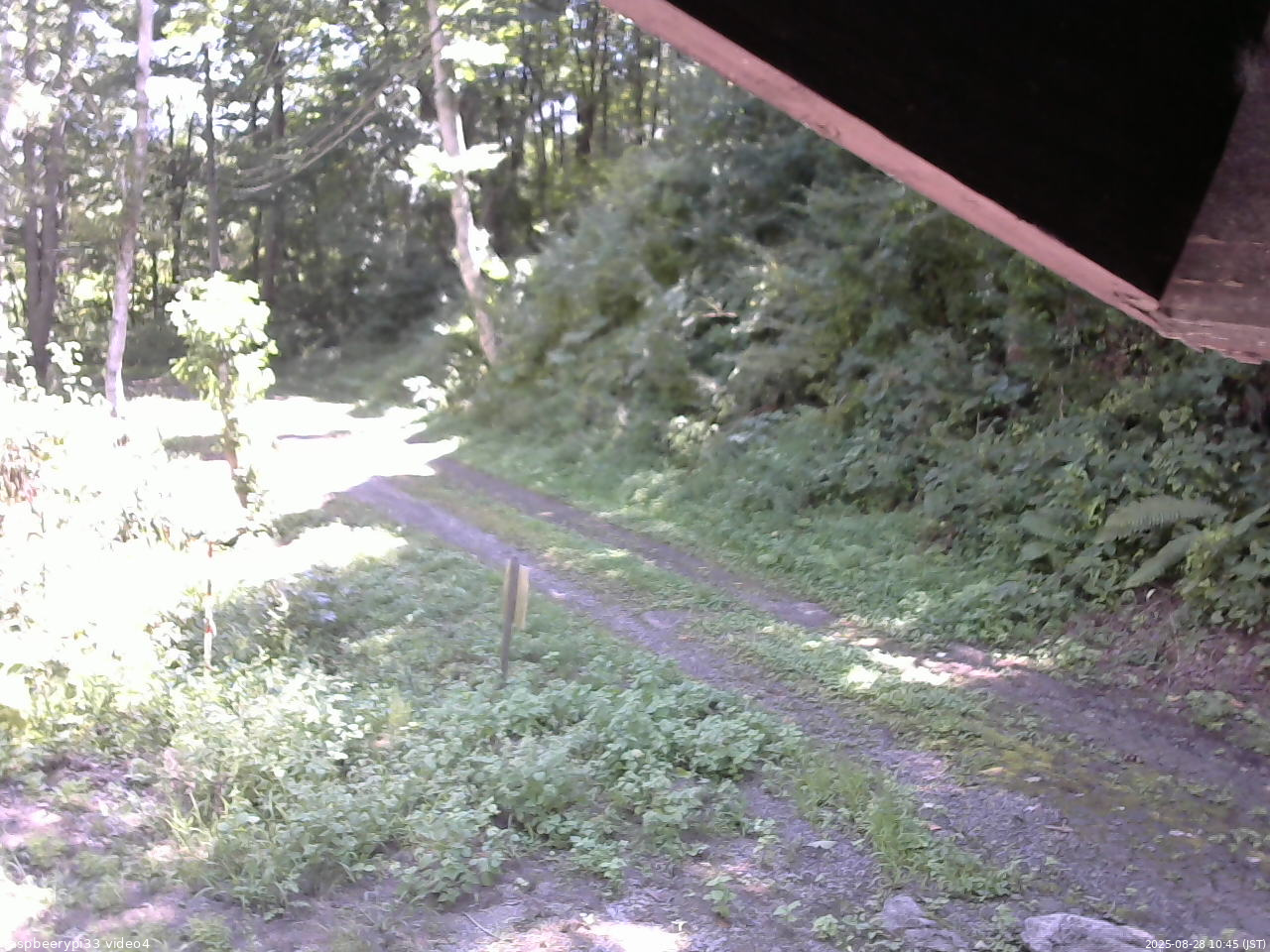 長野県菅平高原 ゆたか山荘 東側(坂下) 2025/08/28 10:45