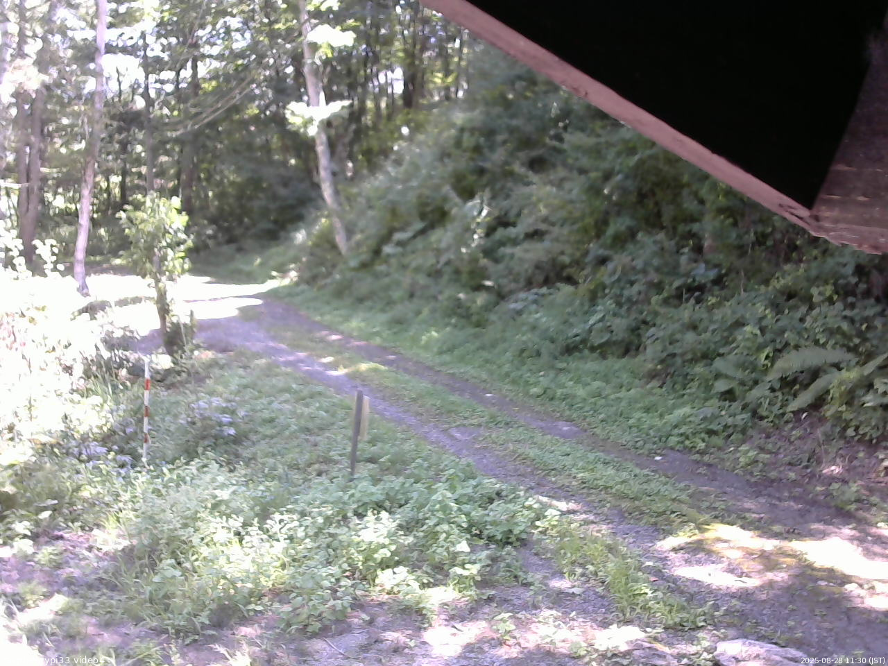 長野県菅平高原 ゆたか山荘 東側(坂下) 2025/08/28 11:30