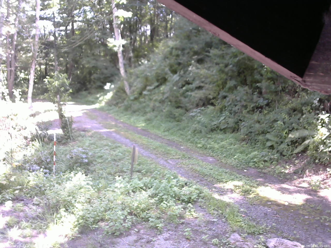 長野県菅平高原 ゆたか山荘 東側(坂下) 2025/08/28 11:45