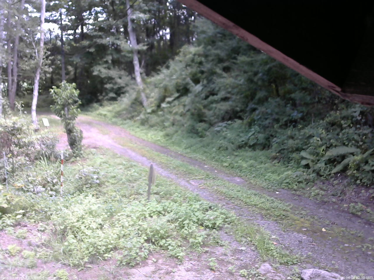 長野県菅平高原 ゆたか山荘 東側(坂下) 2025/08/28 12:30