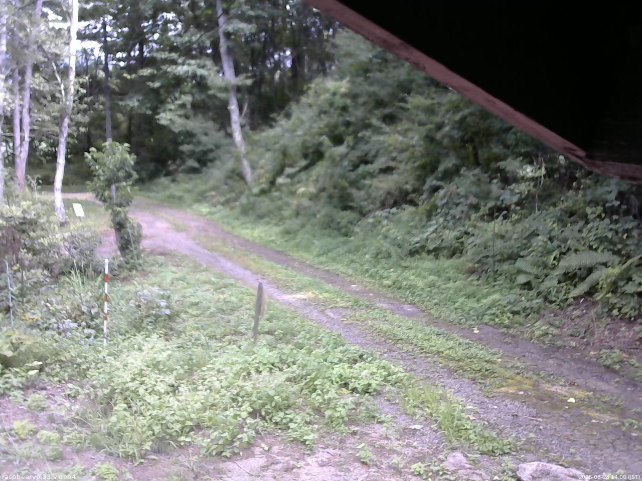 長野県菅平高原 ゆたか山荘 東側(坂下) 2025/08/28 14:00