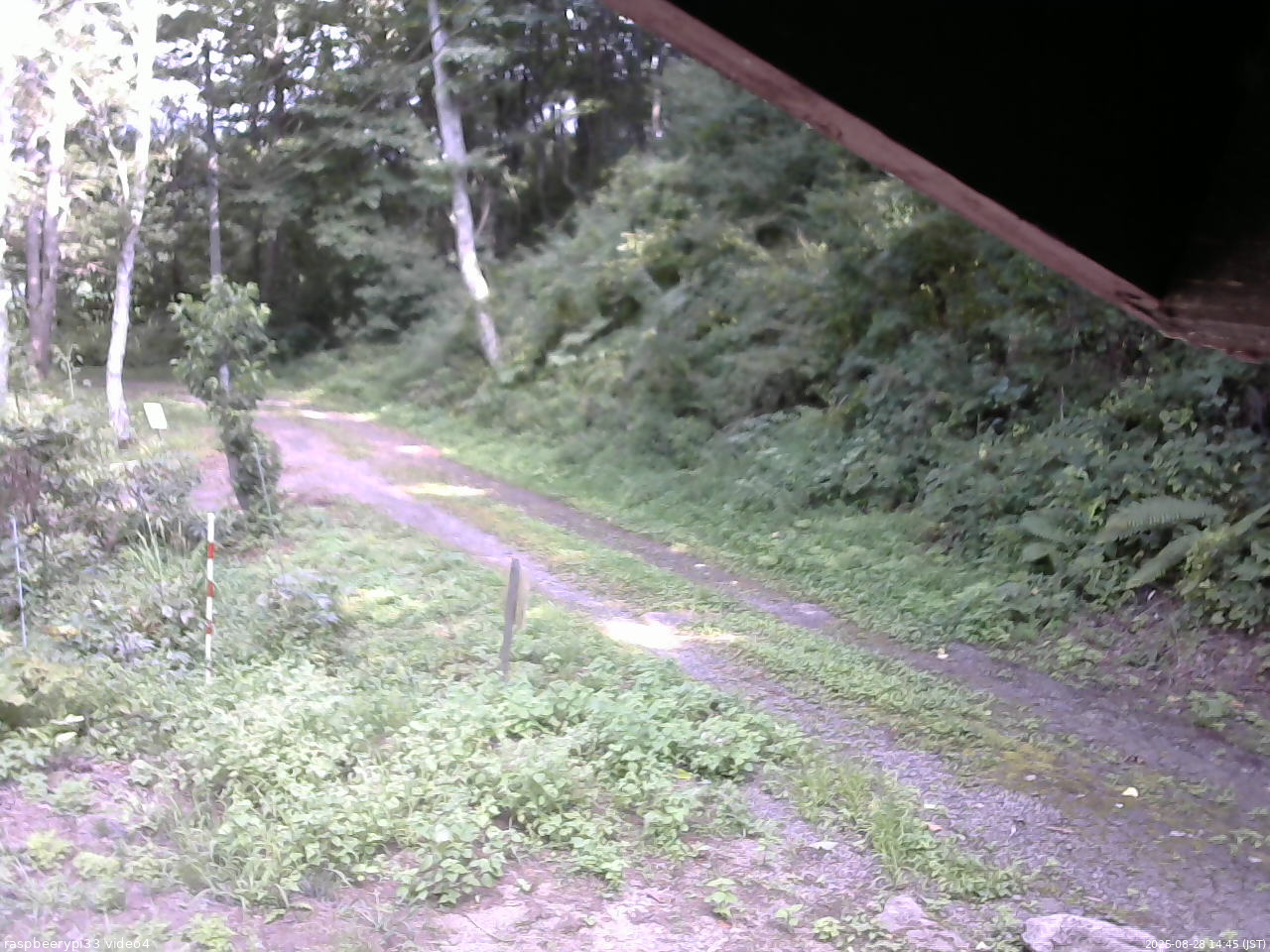 長野県菅平高原 ゆたか山荘 東側(坂下) 2025/08/28 14:45