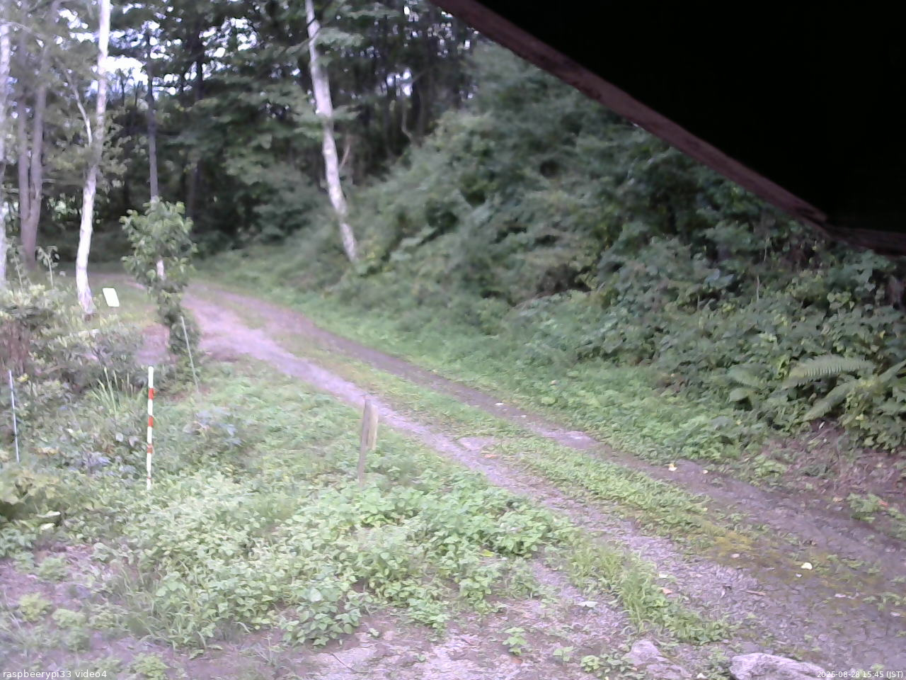 長野県菅平高原 ゆたか山荘 東側(坂下) 2025/08/28 15:45