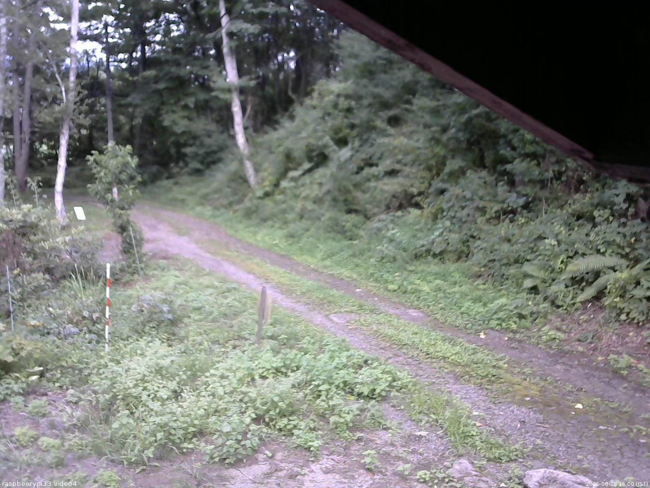 長野県菅平高原 ゆたか山荘 東側(坂下) 2025/08/28 16:00