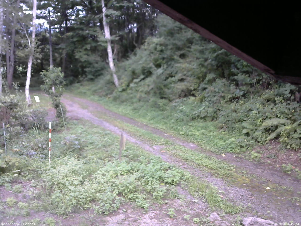 長野県菅平高原 ゆたか山荘 東側(坂下) 2025/08/28 16:45