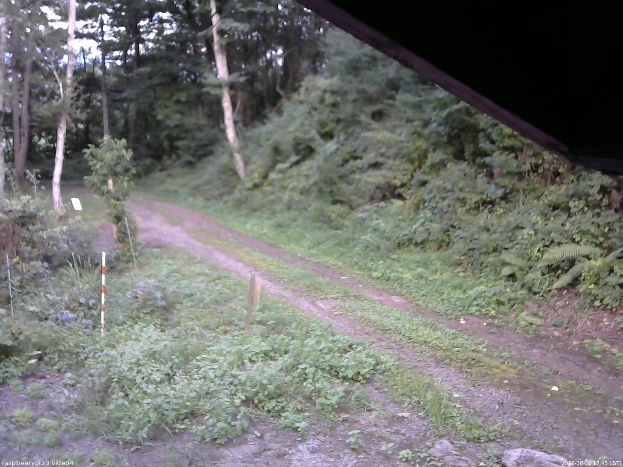 長野県菅平高原 ゆたか山荘 東側(坂下) 2025/08/28 17:45