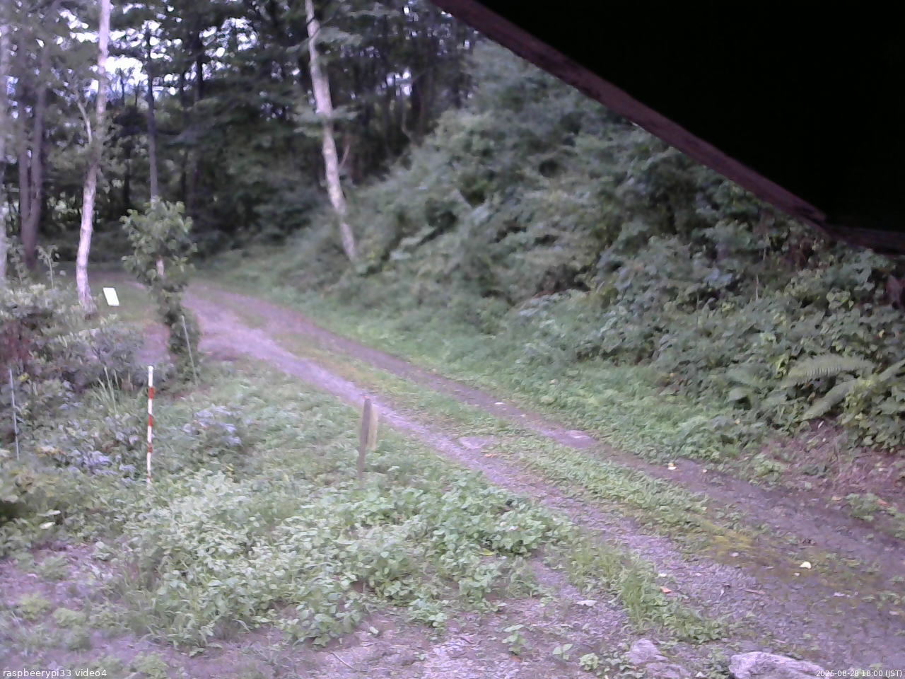 長野県菅平高原 ゆたか山荘 東側(坂下) 2025/08/28 18:00