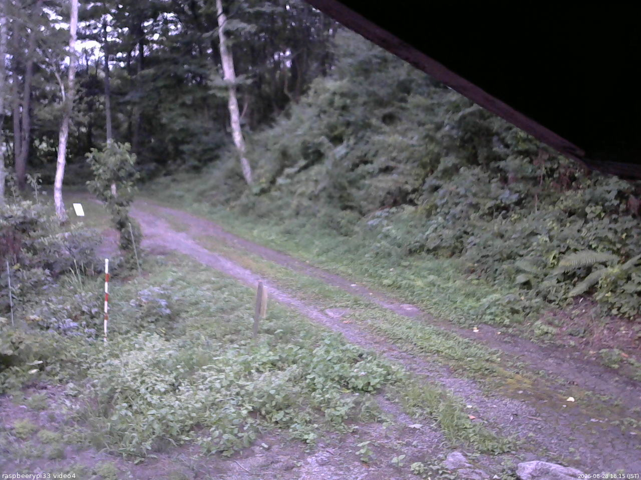 長野県菅平高原 ゆたか山荘 東側(坂下) 2025/08/28 18:15